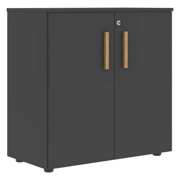 Шкаф с глухими малыми дверьми Forta FLC 80.1(Z) 798x404x801 (Черный графит)